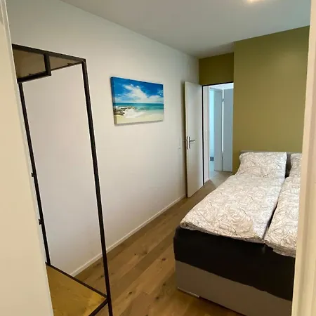 Falke In Lägenhet Spiez