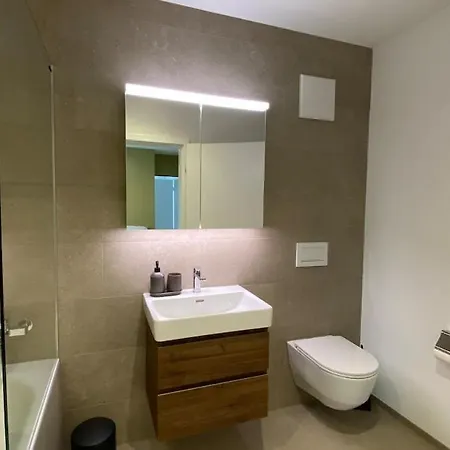 Falke In Lägenhet Spiez