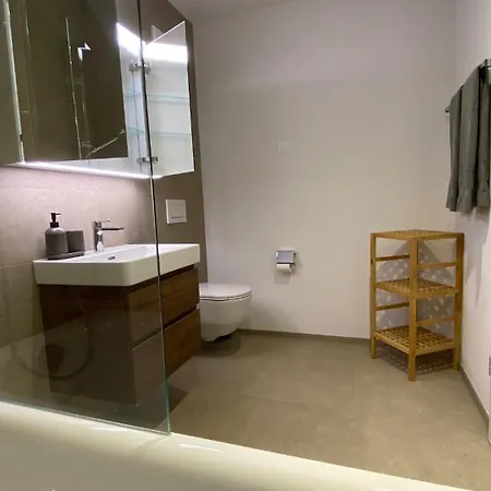 Falke In Lägenhet Spiez