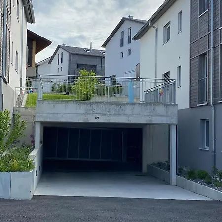 Falke In Spiez