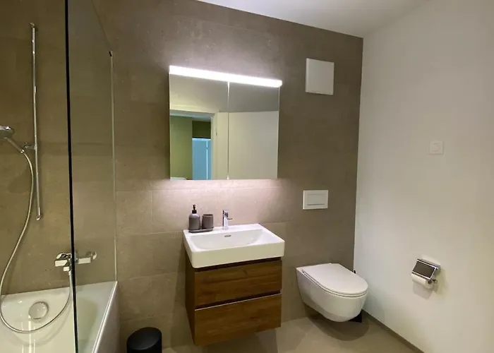 Falke In Apartman Spiez