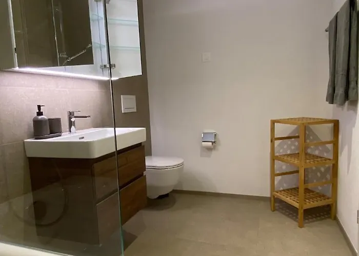 Falke In Lejlighed Spiez