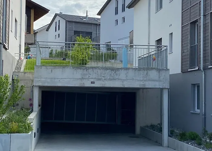 Falke In Spiez